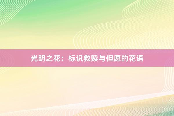 光明之花：标识救赎与但愿的花语