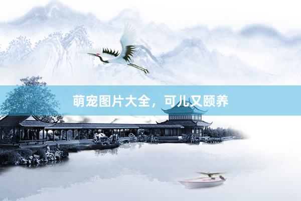 萌宠图片大全，可儿又颐养